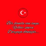18036241376538658_turkocaginj